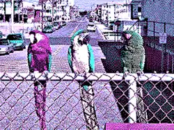 320&nbsp;×&nbsp;200 in 4 colors palette 1