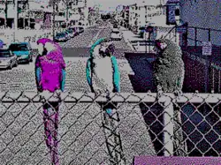 320&nbsp;×&nbsp;200 in 4 colors palette 1 low intensity