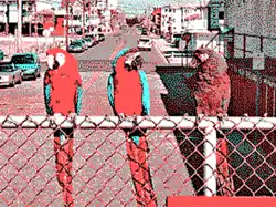 320&nbsp;×&nbsp;200 in 4 colors palette 3