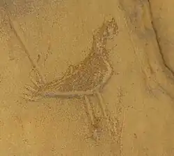 Chaco Pictograph, Chaco Culture Historical Park, New Mexico