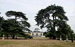 Formally planted ornamental cedars at Chiswick House, London.