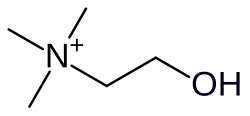 Choline cation skeletal formula