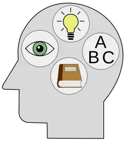 Diagram of a head with symbols for different cognitive capacities inside it