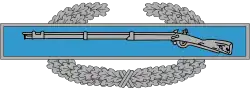 Combat Infantryman Badge[71]