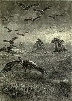 Argentine gauchos lassoing a condor, 1895.