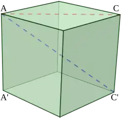 A space diagonal AC' and a face diagonal AC