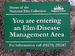 Sign on A27, Brighton, 2008