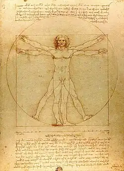 The Vitruvian Man (c. 1485) Accademia, Venice
