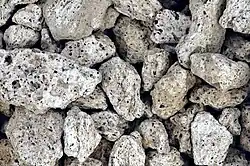 Porphyritic pumice from the June 15, 1991 eruption of Pinatubo