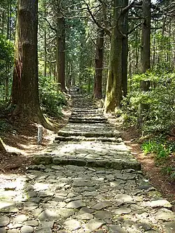 Daimonzaka (Kumano Kodō)