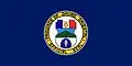 Flag of Davao Oriental
