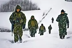 Soldiers in green camouflage gear trudge through snow during a snowstorm