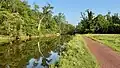 Water filled canal and towpath passing by a forest