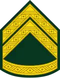 Korporal (Royal Danish Army)[44]