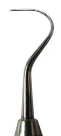 Curved tip of a small metal probe, tapering to a point.