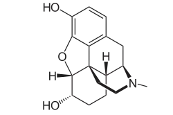 Chemical structure of Dihydromorphine 2D structure.