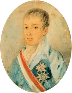 Painting showing the head and shoulders of a boy wearing a high collar and a coat adorned with medals and a striped sash of office