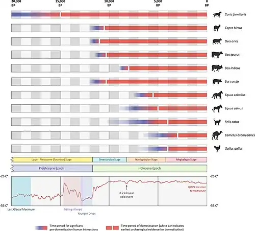 Rough timelines of domestication for 11 animal species[27][a]