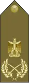 Egyptian armed forces