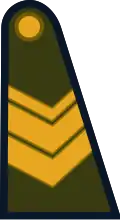 Sargento (Argentine Army)[46]
