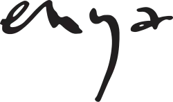 Enya logo, letters 'e n y a' stylised