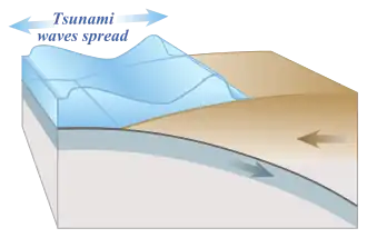 The energy released produces tsunami waves.