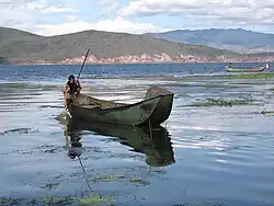 On a lake with hills in the background a man in a pole boat pulls up a fishing net. There are water plants on the surface. People stand in shallows by by another boat in the background.