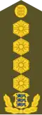 Kindral (Estonian Land Forces)[13]