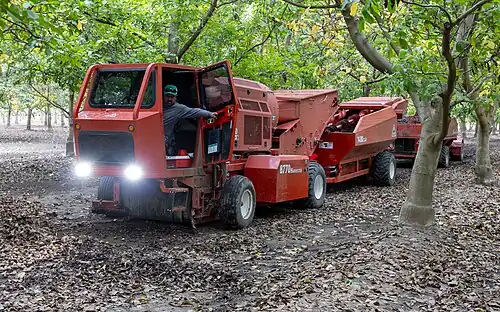 FLORY 8770 Harvester during walnut harvest in Glenn County