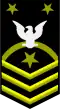 Fleet Master Chief Petty Officer / Force Master Chief Petty Officer