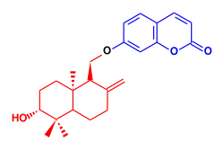 Topological formula of a bicyclic benzopyran compound linked by an ether bridge to a hydroxylated bicyclic fifteen-carbon chain.
