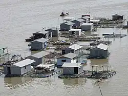 Houseboat rafts with cages under for rearing fish near Mỹ Tho, Vietnam