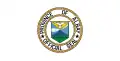Flag of Albay
