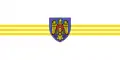 Flag of Chișinău