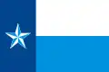 Flag of Dallas County, Texas