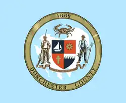 A light blue flag with the county seal in the center