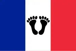 Tricolore flag with two black feet[85]