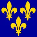 Flag of France under the Capetian dynasty since the fourteenth century