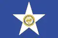 Flag of Houston
