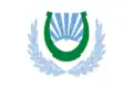 Flag of Nalchik