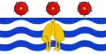 Flag of Napier