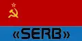 Flag of the SERB (Russia)