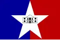 Flag of San Antonio
