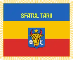 Banner of the Moldavian Congress (Sfatul Țării), 1917–1918