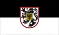 Flag of Landau in der Pfalz