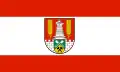 Flag of Salzgitter