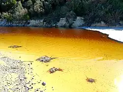 Accumulations of pumice at a beach on the southeast coast of Australia, June 2015
