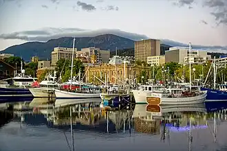 City Centre and kunanyi / Mount Wellington