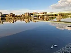 View of Fulham Railway Bridge spanning the River Thames, with calm reflections of the bridge and surrounding buildings on the water and two swans at the riverbank.