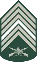 Primeiro-sargento (Brazilian Army)[27]
